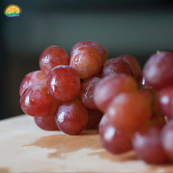گران‌ ترین میوه‌ های دنیا: 3. انگور روبی رومی (Ruby Roman Grapes)