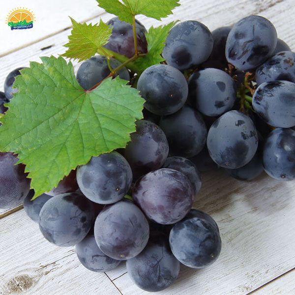محبوب‌ ترین میوه‌ های دنیا: 27. انگور کیوهو (Kyoho Grape)
