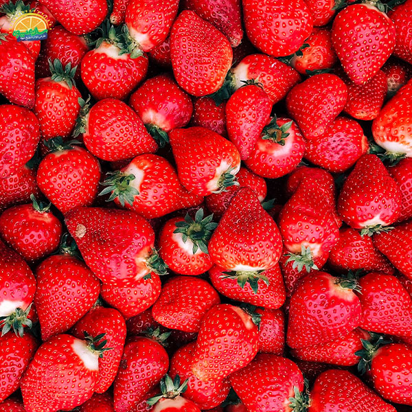 گران‌ ترین میوه‌های دنیا: 1. توت فرنگی بیژین-هایم (Bijin-hime Strawberry)