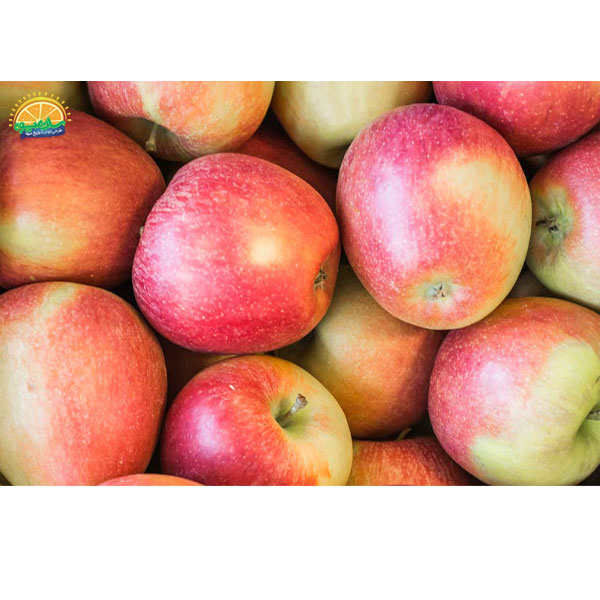 محبوب‌ ترین میوه‌ های دنیا: 39. سیب بربرن (Braeburn)