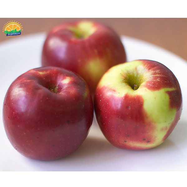 محبوب‌ ترین میوه‌ ها در دنیا: 18. سیب جاناتان (Jonathan apple)