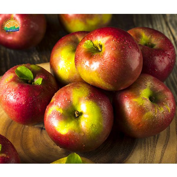 محبوب‌ ترین میوه‌ ها در دنیا: 34. سیب مکینتاش (McIntosh apple)
