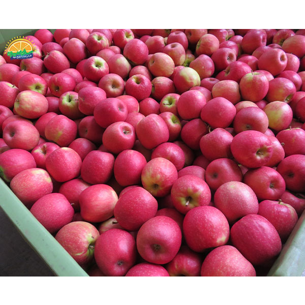 محبوب‌ ترین میوه‌ های جهان: 35. سیب کریپس صورتی (Cripps pink)