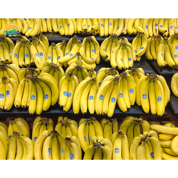 محبوب‌ ترین میوه‌ های دنیا: 6. موز جزایر قناری (Plátano de Canarias)