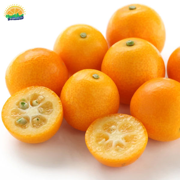 بهترین میوه‌ها برای آنمی: 9. کامکوات - پرتقال مینیاتوری برای درمان کم خونی