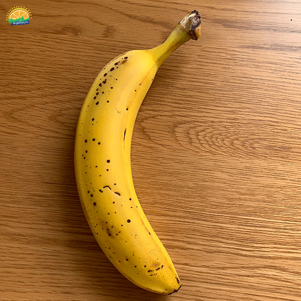 خواص موز: 13 مورد از فواید شگفت‌انگیز مصرف موز که آنها را نمیدانید ...