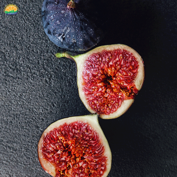 6. خوشمزه‌ترین میوه‌های تابستانی: انجیر (Fig)