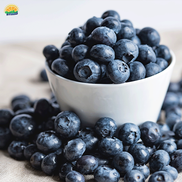3. عضو کمتر شناخته شده‌ی میوه‌های تابستانی: بلوبری (Blueberries)