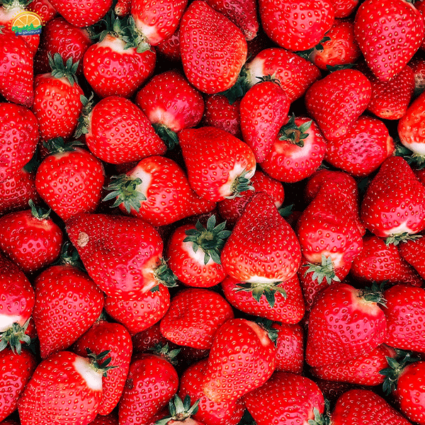 16. لوکس‌ترین میوه‌های تابستان: توت فرنگی (Strawberry)