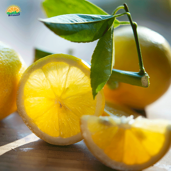 خواص و فواید میوه تازه لیمو
