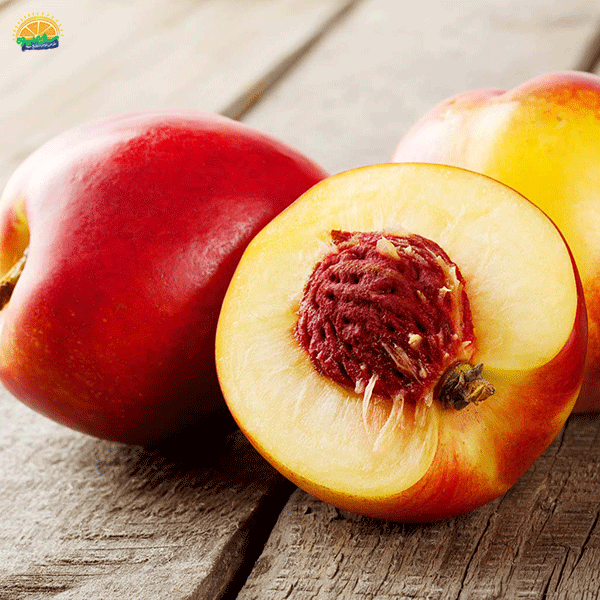 11. پرطرفدارترین میوه‌های تابستانی: شلیل (Nectarine)