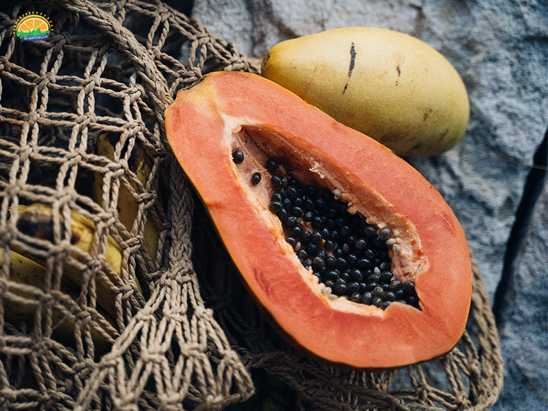 میوه استوایی: میوه پاپایا Papaya محبوب‌ترین نوع میوه‌های استوایی
