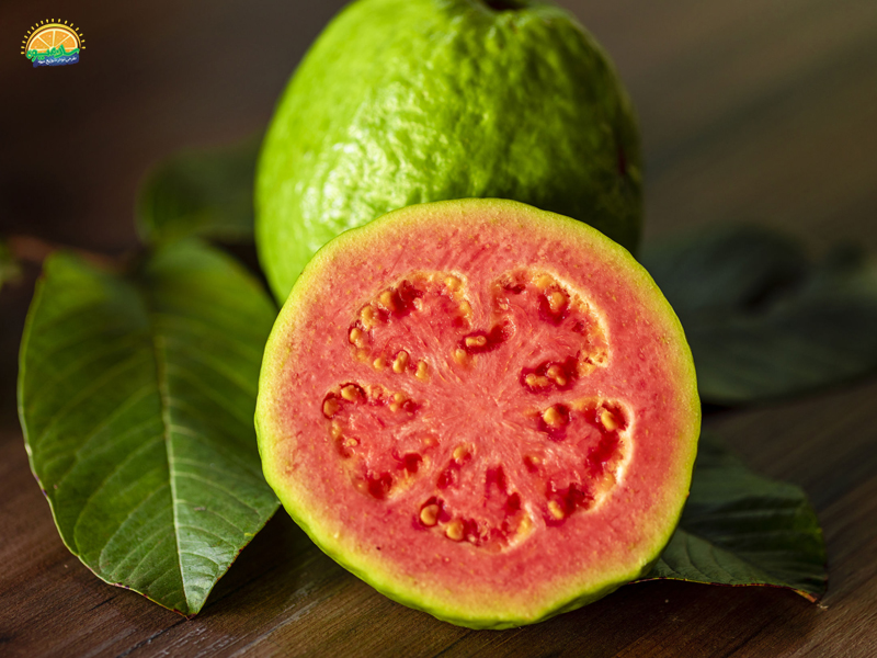 میوه گواوا Guava