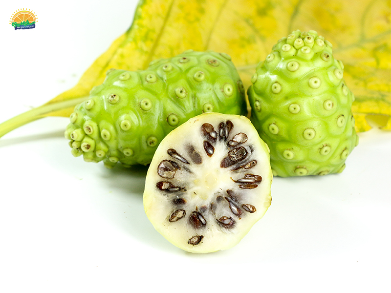 میوه استوایی : میوه نونی Noni Fruit