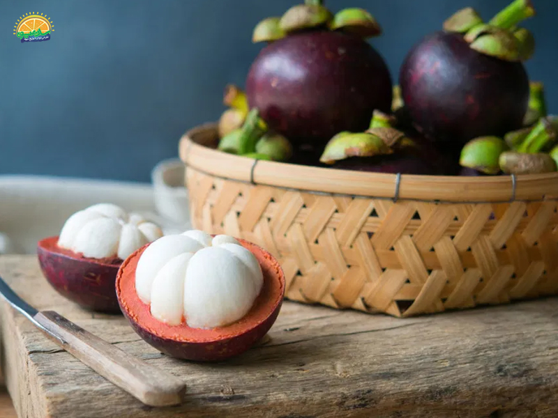 میوه استوایی: میوه منگوستین Mangosteen یا میوه ترگیل