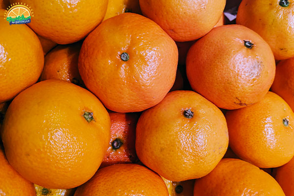 خواص نارنگی برای سلامتی: سرشار از آنتی اکسیدان ها