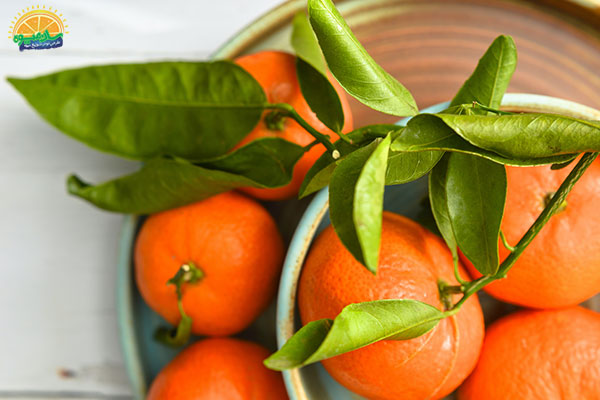خواص نارنگی برای لاغری و بدنسازان