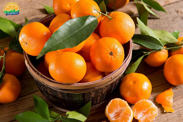 خواص و فواید خوردن نارنگی برای مردان