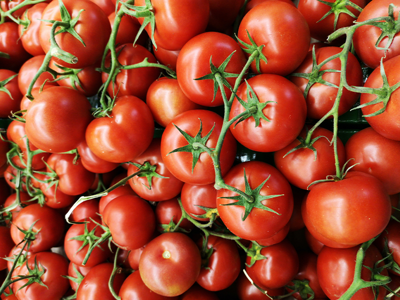 پرمصرف ترین صیفی جات دنیا: گوجه فرنگی