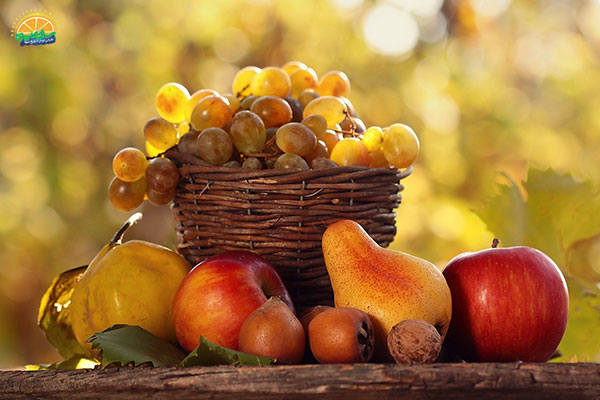 میوه های پاییزی کدامند؟