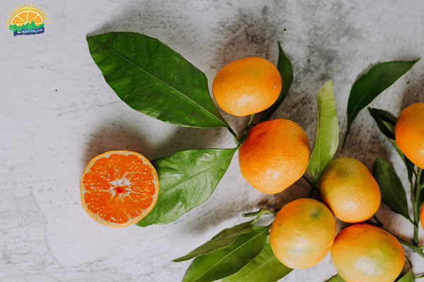 خواص نارنگی های سرشار از ویتامین