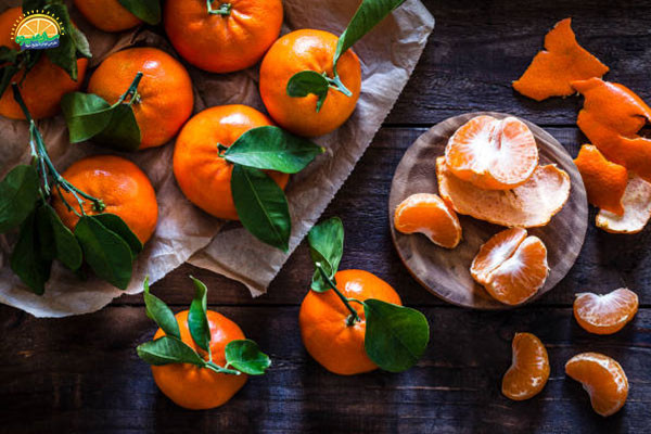 میوه‌ های پاییزی: نارنگی میوه‌ی محبوب دوران بچگی