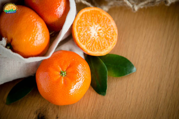 نحوه‌ی انتخاب میوه های پاییزی: نارنگی