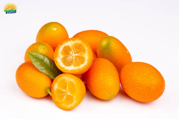 اسامی میوه‌ های پاییزی: 8. کامکوات پرتقال مینیاتوری