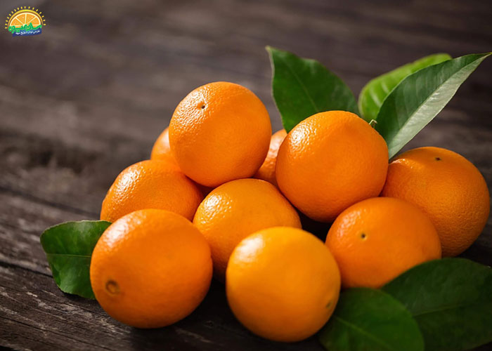 خوشمزه ترین میوه های دنیا: پرتقال