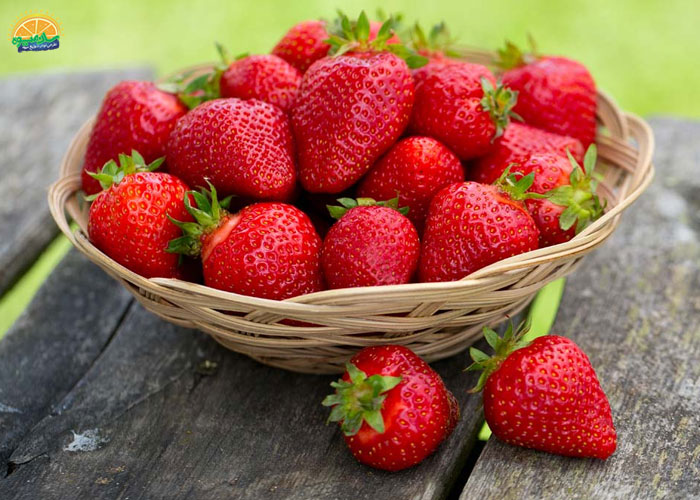 خوشمزه ترین میوه های دنیا: توت‌فرنگی
