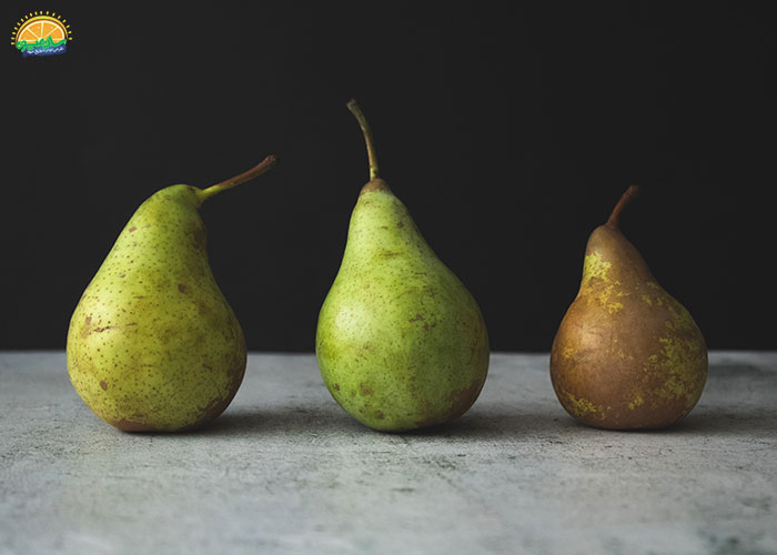 میوه های زمستانی: گلابی (Pear) 