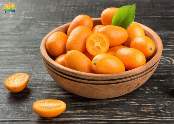 میوه‌های زمستانی: کامکوات (Kumquat)