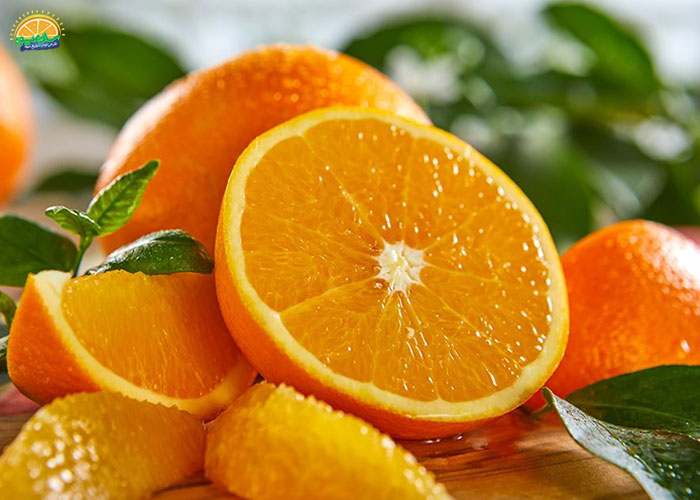 میوه‌های زمستانی: پرتقال (Oranges)