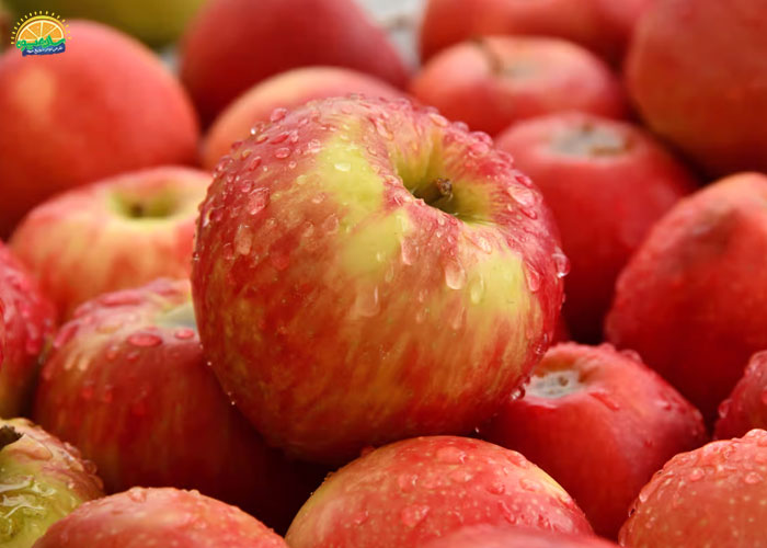 میوه‌های زمستانی: سیب (Apple) 