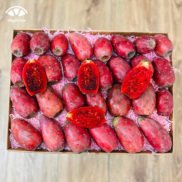 بهترین میوه برای درمان گرمازدگی کاکتوس