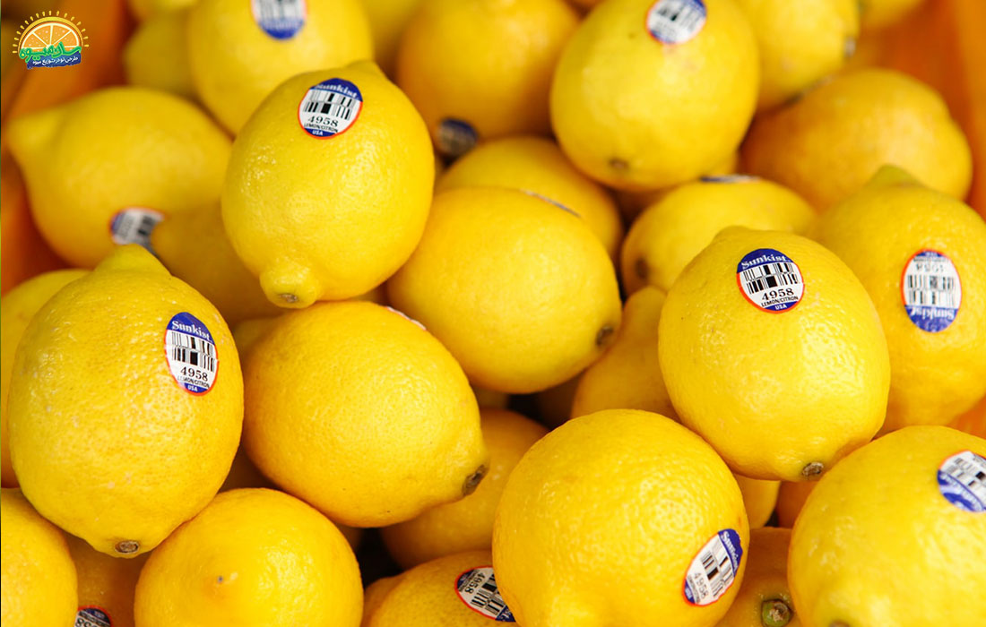 خرید لیمو ترش از میوه فروشی آنلاین سان میوه