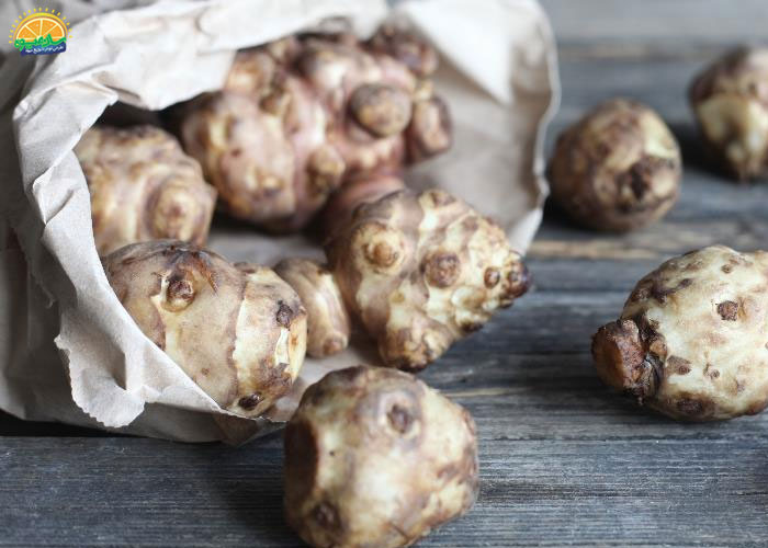 خواص سیب زمینی ترشی در طب سنتی