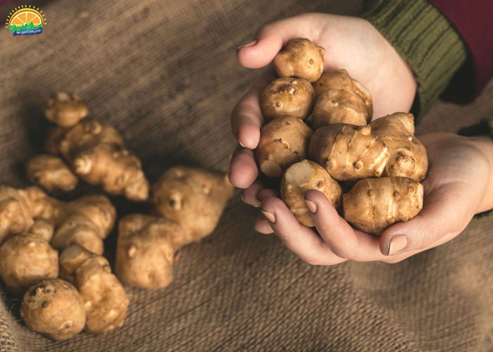 چگونگی مصرف سیب زمینی ترشی