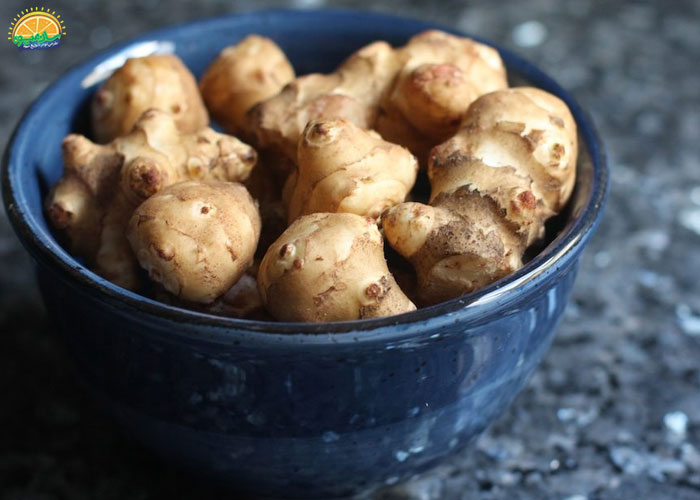 سیب زمینی ترشی 