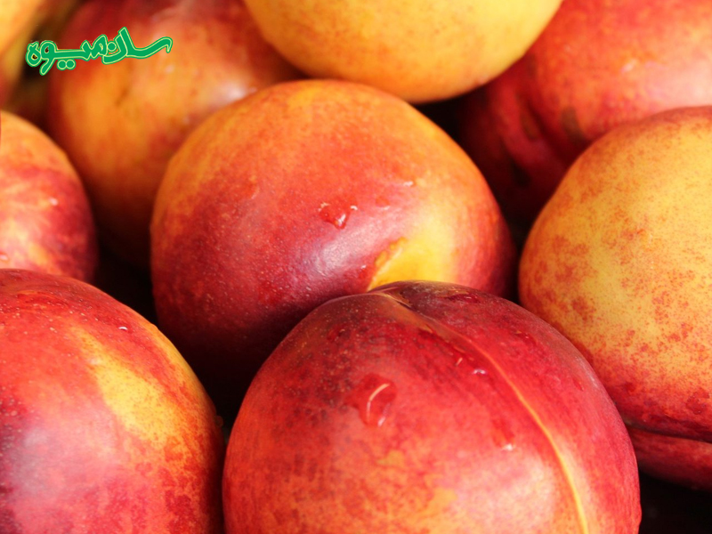 شلیل رفعتی میوهای مناسب برای زنان باردار