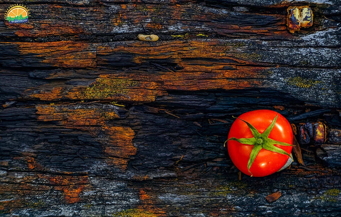 پیشگیری از ابتلا به سرطان با گوجه فرنگی تازه
