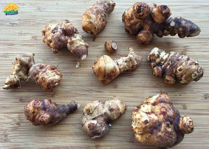 سیب زمینی ترشی مفید برای روده