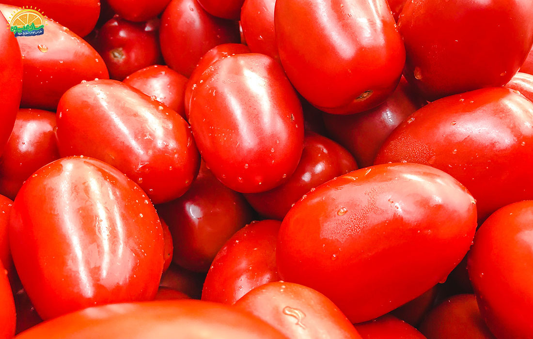 گوجه فرنگی و کنترل فشار خون