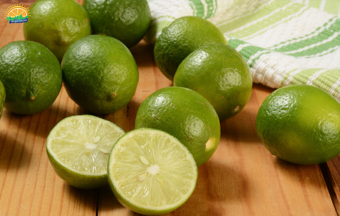 لیمو ترش Citron خواص درمانی بسیاری دارد.
