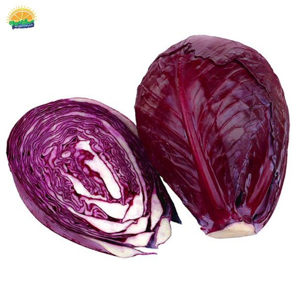 عامل قرمز و بنفش بودن کلم پیچ چیست؟