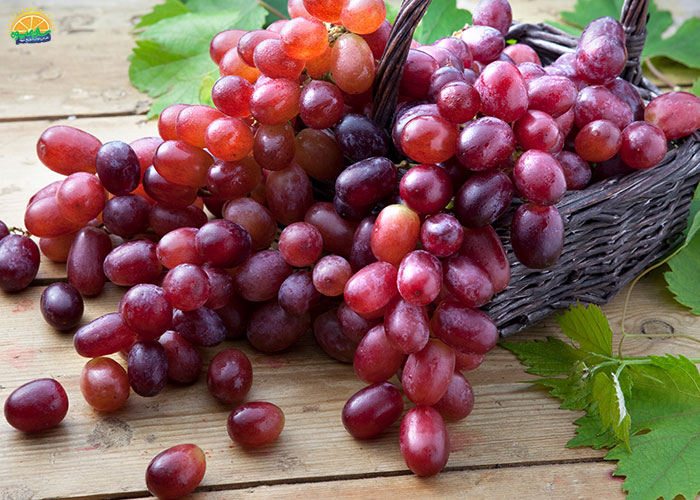 انتخاب و ذخیرهی انگور