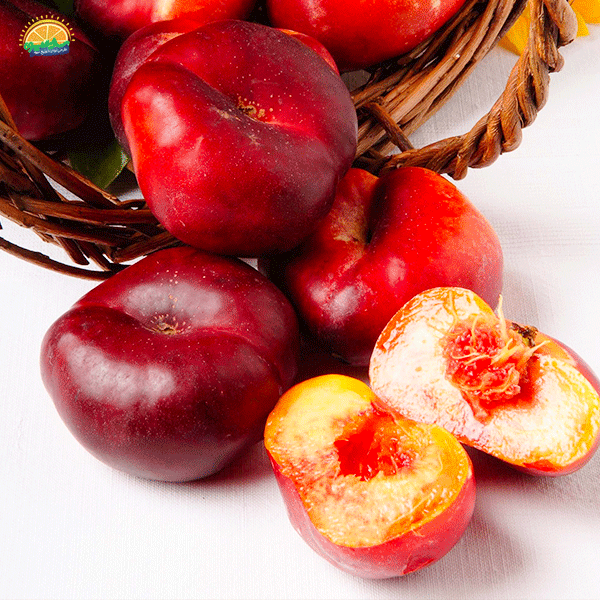 آشنایی با خواص و فواید شلیل انجیری