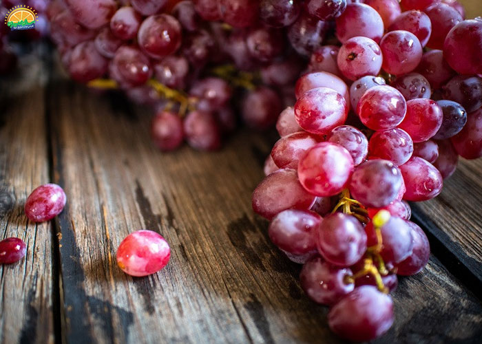 خواص انگور قرمز بر سلامت استخوانها