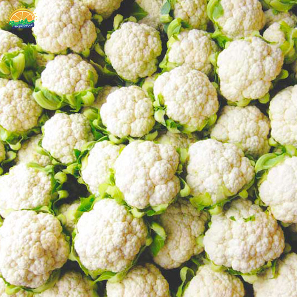 سلامت بدن با گل کلم سفید