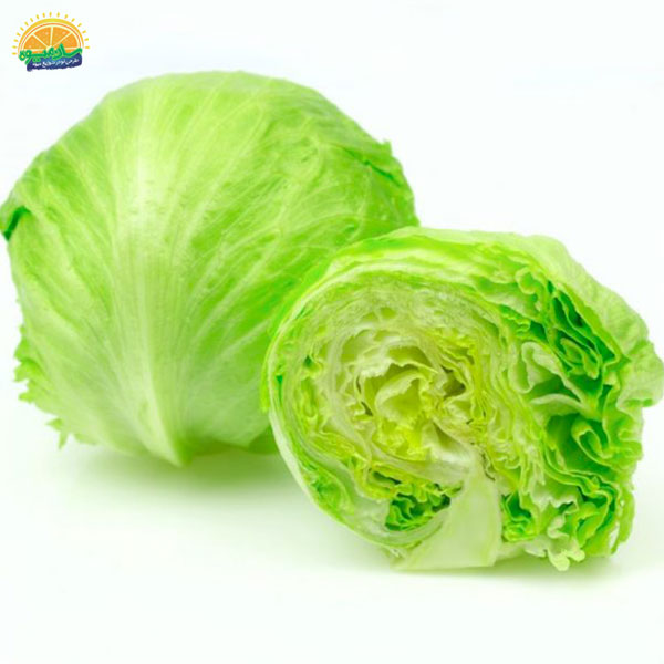 با کاهو پیچ گیاه خوار شوید!